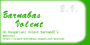 barnabas volent business card